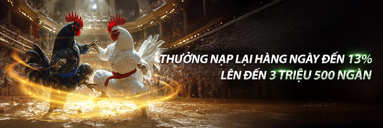 Xem Trực Tiếp Đá Gà 88